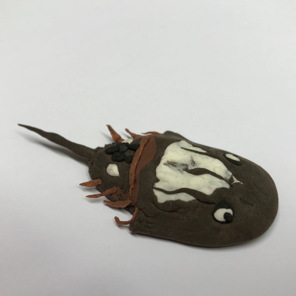 Limulus