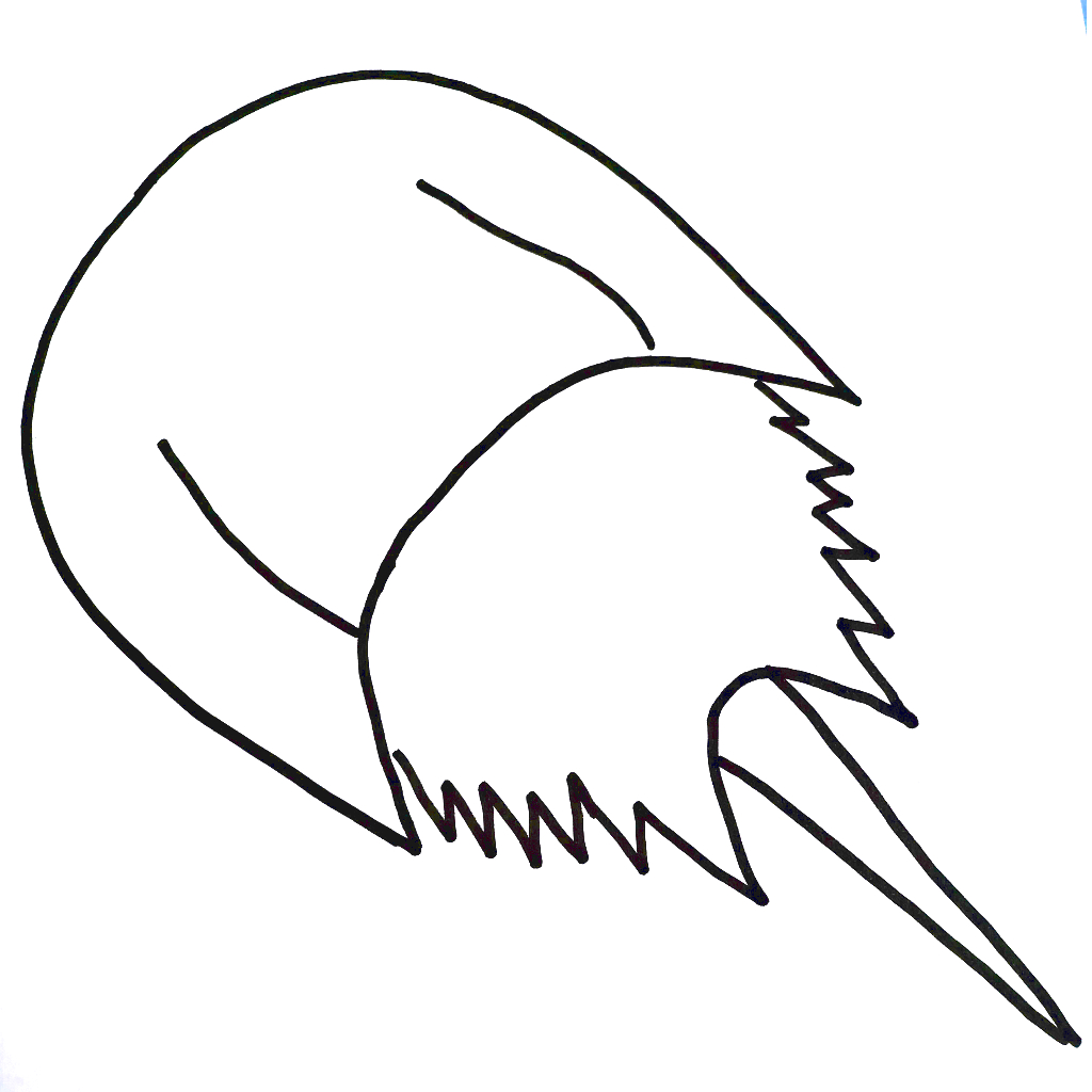 One-Line-Drawing